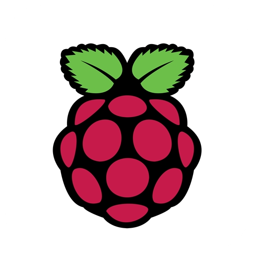 RASPBERRY PI